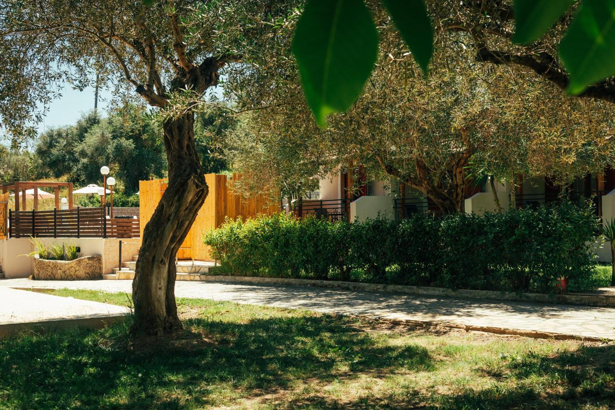 Kalypso Aparthotel